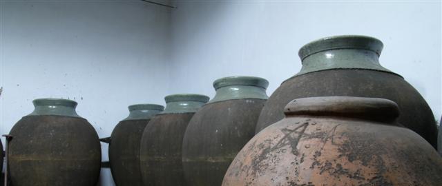 Wines