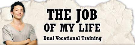 THE JOB OF MY LIFE