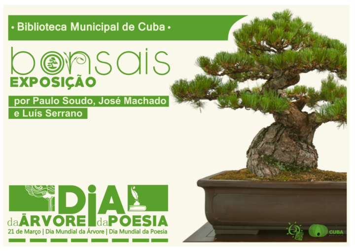 CARTAZ HORIZONTAL BONSAIS 2