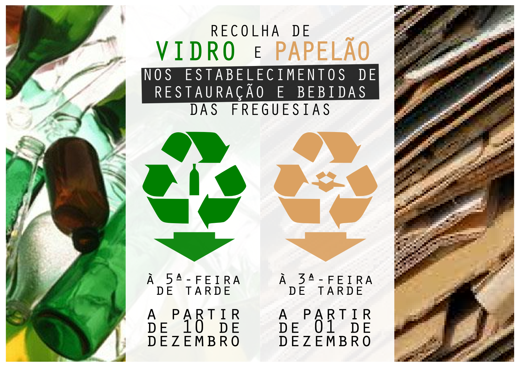 RECOLHA VIDRO PAPELÃO