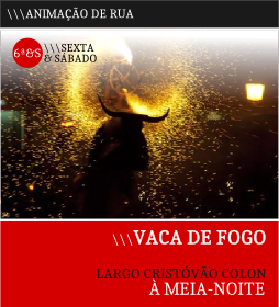 ARRUADAS VACA DE FOGO 1