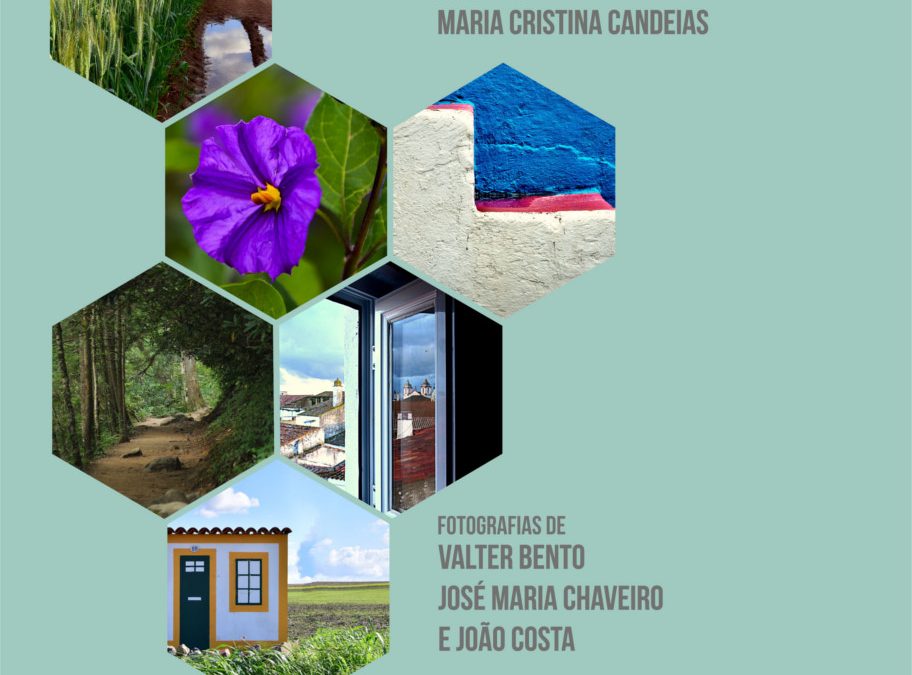 Biblioteca expõe “Palavras fotografadas”