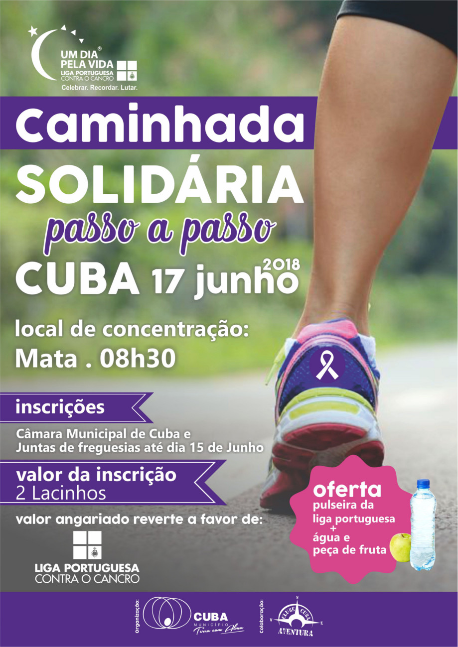CAMINHADA UM DIA PELA VIDA