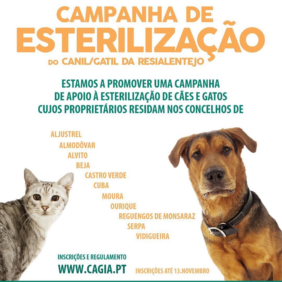 CAGIA CAMPANHA ESTERELIZAÇÃO